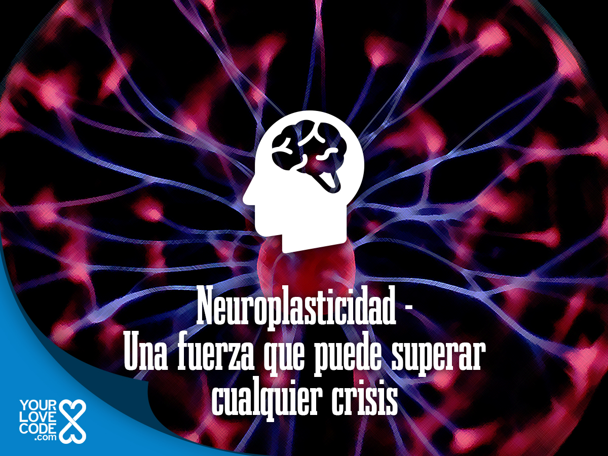 Neuroplasticidad – Una fuerza que puede superar cualquier crisis