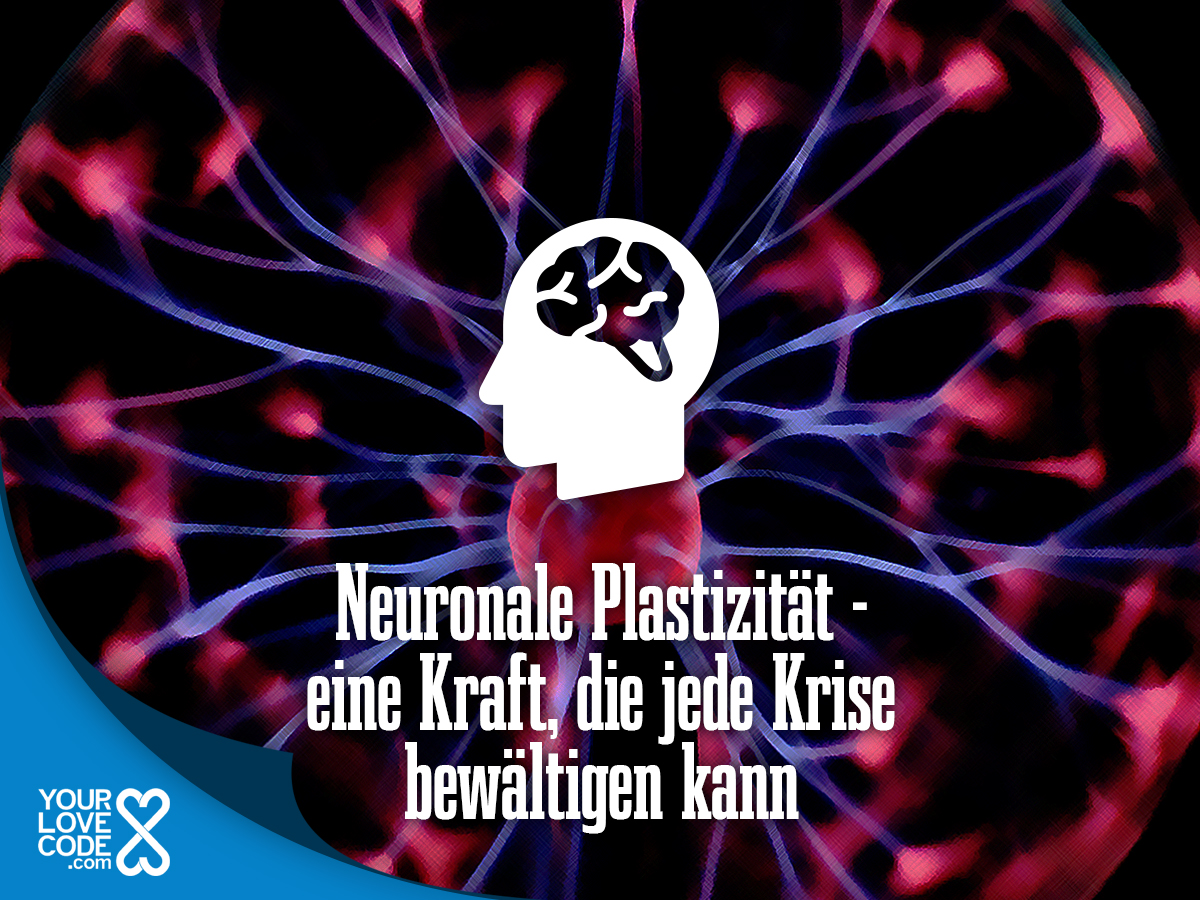 Neuronale Plastizität – eine Kraft, die jede Krise bewältigen kann